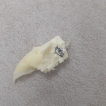 Gültekin Gurme Lezzetler Aldığım Örgü Peynirden Sinek Çıktı