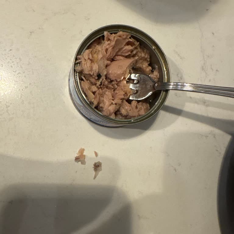 Ton Balığı Konservesinden Çıkan Kılçık Ve Yabancı Madde Şoku