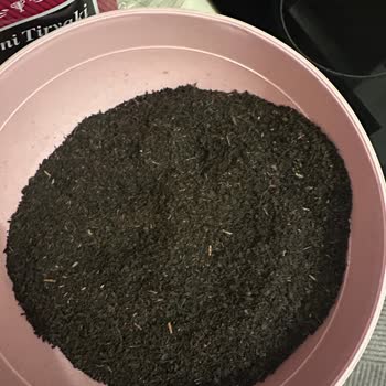 Karali Yeni Tiryaki Çayında Yabancı Maddeler Ve İlgisiz Müşteri Hizmeti