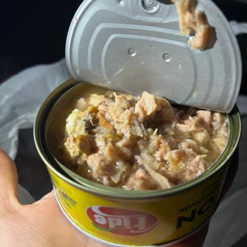 Ton Balığında Kararma Ve Yabancı Madde Nedeniyle Gıda Güvenliği Endişesi