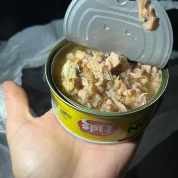 Ton Balığında Kararma Ve Yabancı Madde Nedeniyle Gıda Güvenliği Endişesi