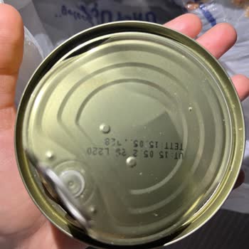 Ton Balığında Kararma Ve Yabancı Madde Nedeniyle Gıda Güvenliği Endişesi