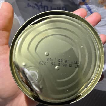 Ton Balığında Kararma Ve Yabancı Madde Nedeniyle Gıda Güvenliği Endişesi