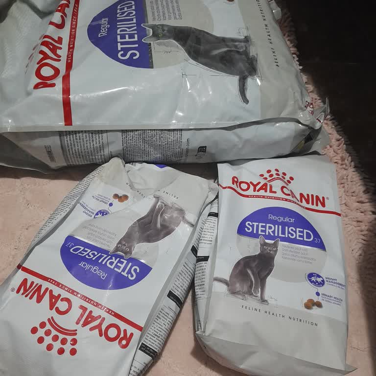 Aldığım Kedi Maması Kedilerimi Hasta Etti, Param Ve Sağlığımız Tehlikede!