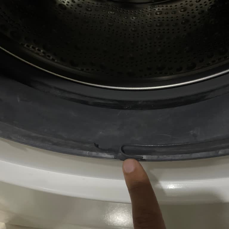 Çamaşır Makinesi Kapak Contasında Yırtılma Ve Garanti Kapsamı Sorunu