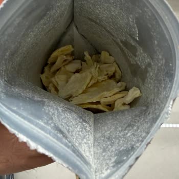 Pol's Gurme Küflü Ürünler Ve Sağlık Sorunu