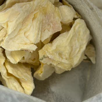 Pol's Gurme Küflü Ürünler Ve Sağlık Sorunu