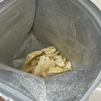 Pol's Gurme Küflü Ürünler Ve Sağlık Sorunu