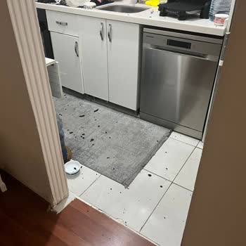 Hatalı Davlumbaz Montajı Sonucu Güvenlik Riski Ve Maddi Zarar