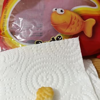 Çocukların Tükettiği Krakerde Yabancı Madde Şoku: Sağlık Riski Ve Hayal Kırıklığı