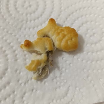 Çocukların Tükettiği Krakerde Yabancı Madde Şoku: Sağlık Riski Ve Hayal Kırıklığı