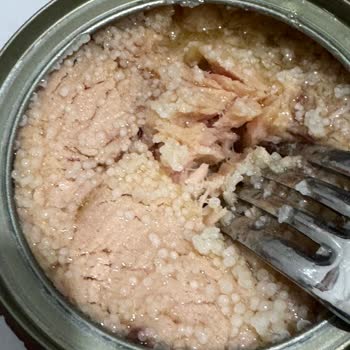 Dardanel Ton Balığında Şüpheli Yapılar Ve Sağlık Riski