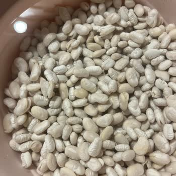 Satın Alınan Kuru Fasulyede Kalite Sorunu Ve Dağılma Problemi