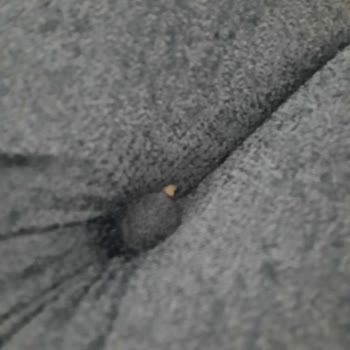 Kısa Sürede Sorun Çıkaran Koltuk Takımı Ve Yetersiz Servis Desteği