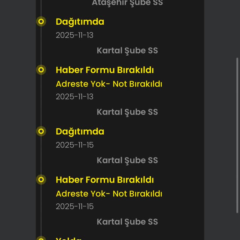 Hızlı Kargo Ücreti Ödememe Rağmen 8 Gündür Teslim Edilmeyen Ve Yanlış Şubelerde Gezdirilen Siparişim İçin Çözüm Bekliyorum
