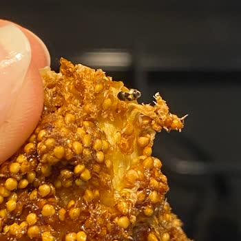 Yeni Tarihli Kuru İncir Paketinden Böcek Çıkması Hijyen Endişesi Yarattı