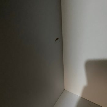 Aldığım Düğün Paketi Kısa Sürede Sorunlarla Doldu İlgisizlikle Karşılaştım