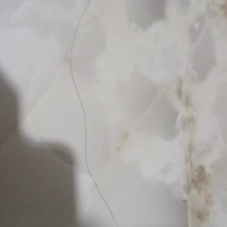 Venüs Pastanesi'nden Aldığım Simitten Saç Çıktı, Hijyen Kurallarına Uyulmuyor