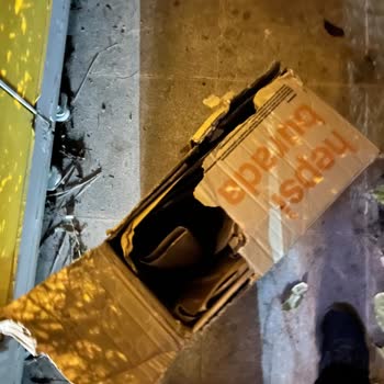 Hasarlı Ürünler Ve Tekrarlayan Kargolama Sorunları Artık Can Sıkıyor