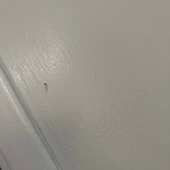 Dyo Boya Duvara Yapışmıyor