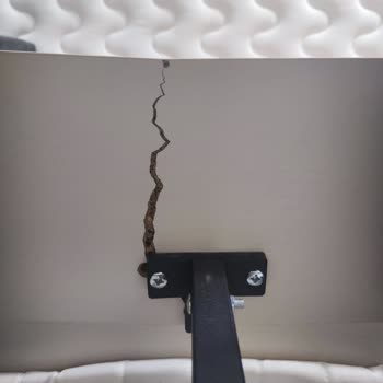 Yavrulu Yatak Servis Sürecinde Gecikme Ve Mağduriyet