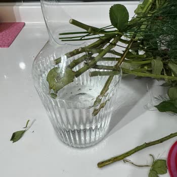 Cam Vazo Patladı, Eşim Yaralandı, Güvenlik Sorunu Yaşadık