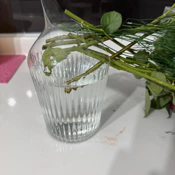 Cam Vazo Patladı, Eşim Yaralandı, Güvenlik Sorunu Yaşadık