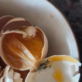 Migros Hemen’den Peş Peşe Küflü Ürün Teslimatı Hayal Kırıklığı Yarattı