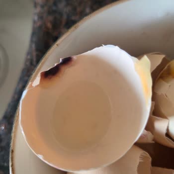 Migros Hemen’den Peş Peşe Küflü Ürün Teslimatı Hayal Kırıklığı Yarattı