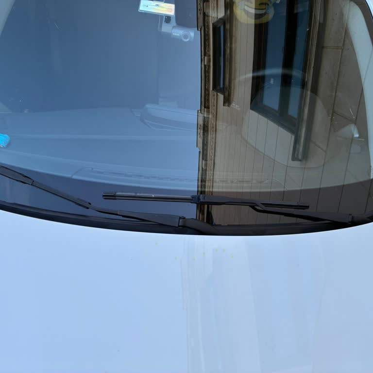 BMW 118i Ön Cam Fitilindeki Yırtılma Konfor Ve Güvenliği Tehdit Ediyor