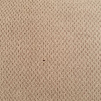 Pati Dostu Kumaşta Delikler Ve Müşteri Hizmetlerinde Olumsuz Tutum