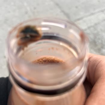 Dost Çikolatalı Sütte Yabancı Cisim Ve Güven Sorunu