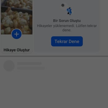 Meta Verified Abonesiyim Fakat Hesabıma Erişemiyor Ve Destek Alamıyorum