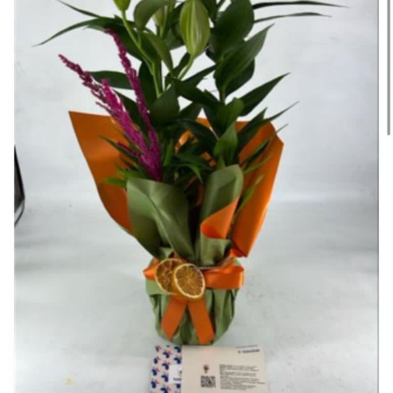 Siparişim Üç Kez Kusurlu Gönderildi, Mağduriyetim Giderilmiyor