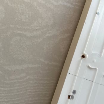 Arçelik Yetkili Servis Hataları Sonucu Ciddi Zarar Ve Mağduriyet Yaşadım