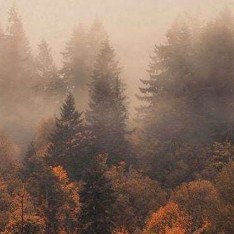 Paycell Uygulamasında Kimlik Doğrulama Sorunu Ve Çözüm Eksikliği