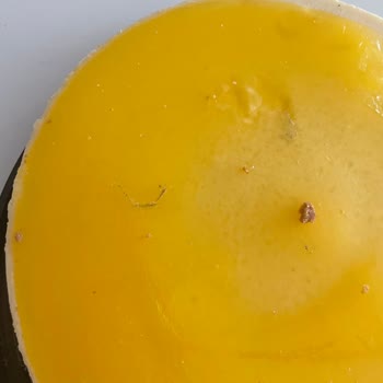 Şok Marketler Cheesecake Üzerinde Kül Ve Kıl Hijyen Skandalı