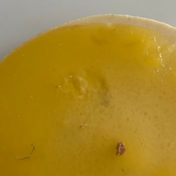 Şok Marketler Cheesecake Üzerinde Kül Ve Kıl Hijyen Skandalı