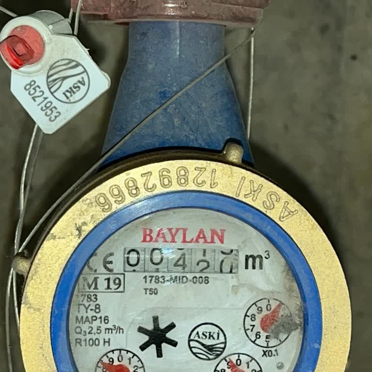 Sayaç Okunmadan Düzenlenen Yüksek Fatura Ve Kötü Müşteri Hizmeti Mağduriyeti