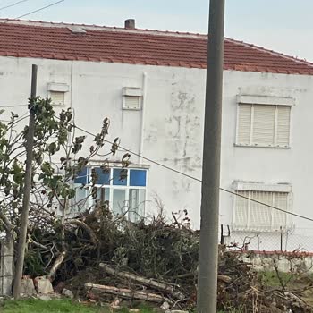 Türk Telekom İnternet Kablosu Aylardır Yerde Ve Direkler Devrilmiş