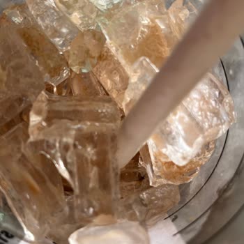 Mocha İçindeki Buzda Sinek Çıkması Nedeniyle Yaşadığım Büyük Rahatsızlık