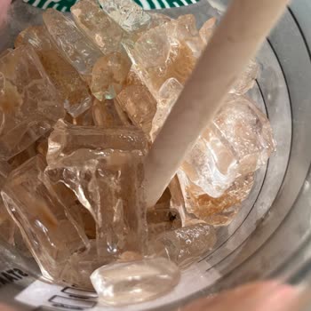 Mocha İçindeki Buzda Sinek Çıkması Nedeniyle Yaşadığım Büyük Rahatsızlık