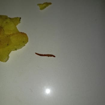 Cips Paketinden Çıkan Yabancı Maddeyle Yaşadığım Sağlık Endişesi