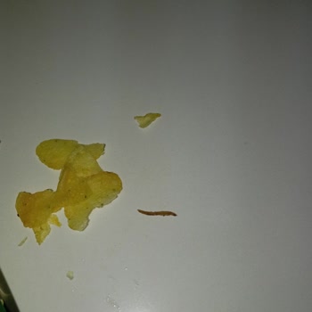 Cips Paketinden Çıkan Yabancı Maddeyle Yaşadığım Sağlık Endişesi