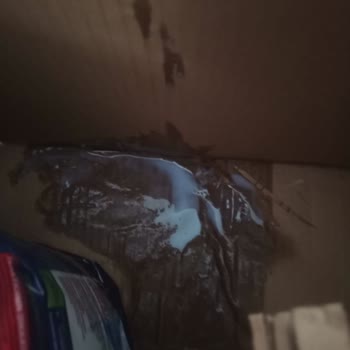 Hasarlı Gelen Deterjan Ve Yetersiz Müşteri Hizmetleri