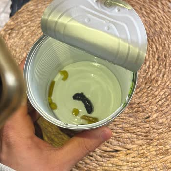 Konserve Bezelyede Böcek Çıkması: Gıda Güvenliği Ve Hijyen Endişesi