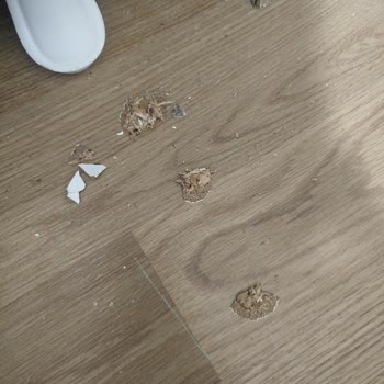 Koçtaş'tan Aldığım Gardırop Hasarlı Geldi, Sorunum Çözülmüyor Ve İade Talebim Karşılanmıyor