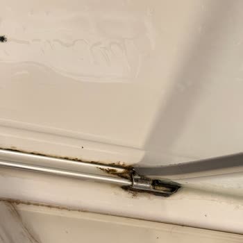 Hijyen Sorunu Ve İade Talebinin Reddedilmesi