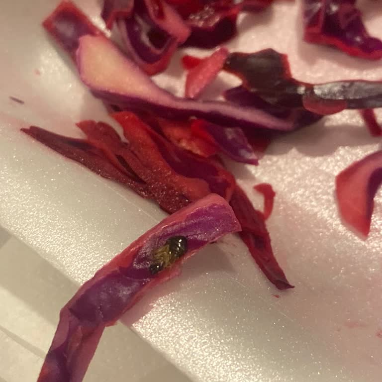 Suat Usta Tantuni Yemekte Lahana İçinden Ölü Böcek Çıkması Ve İlgisiz Müşteri Hizmeti