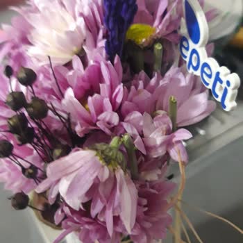 Görselden Farklı, Solmuş Ve Kırık Çiçek Teslimatı Hayal Kırıklığı Yarattı